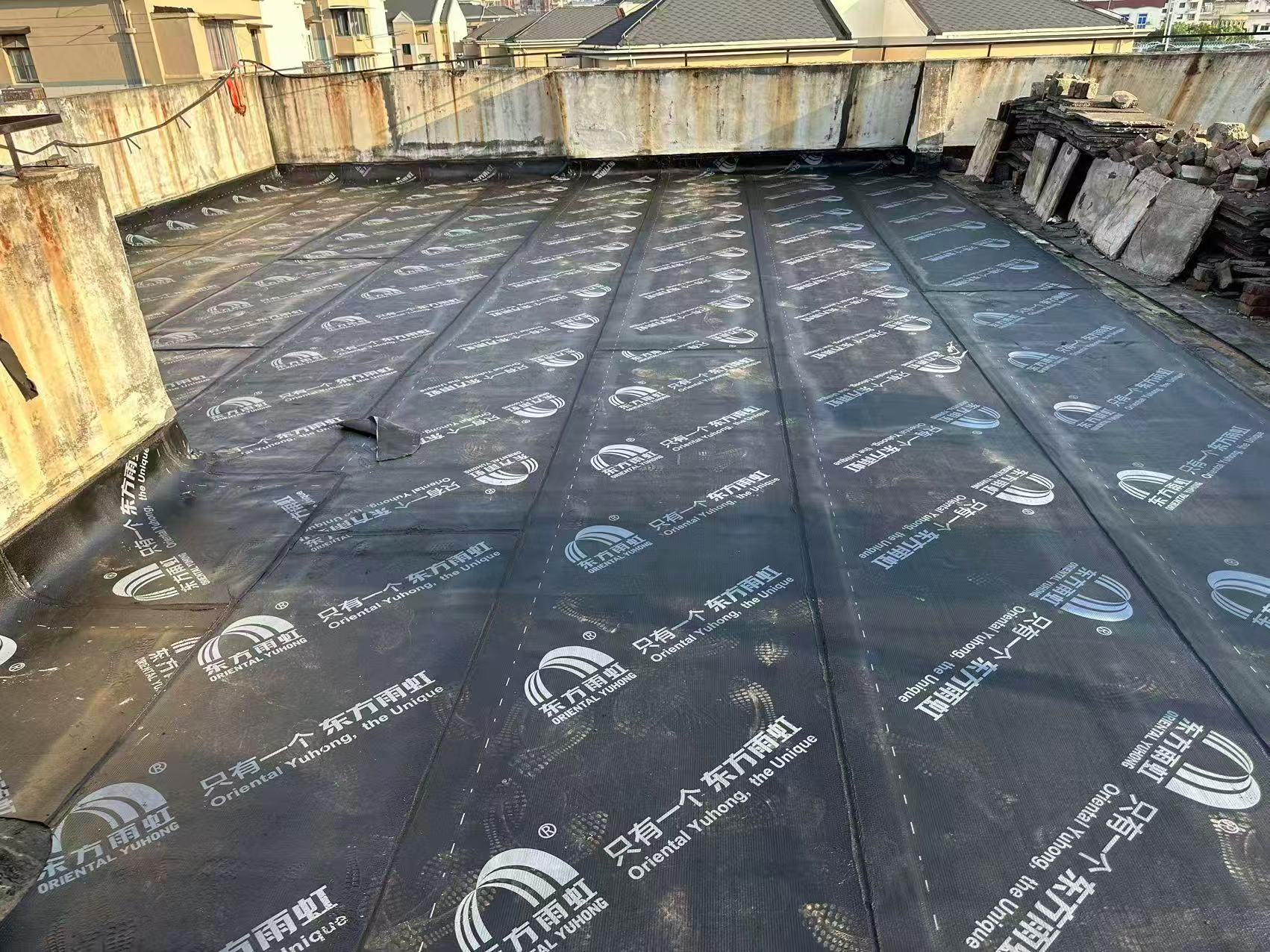dm12.jpg
